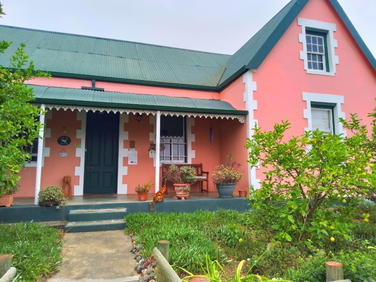 Lemontree Cottage ไฮเดลแบร์ก ภายนอก รูปภาพ