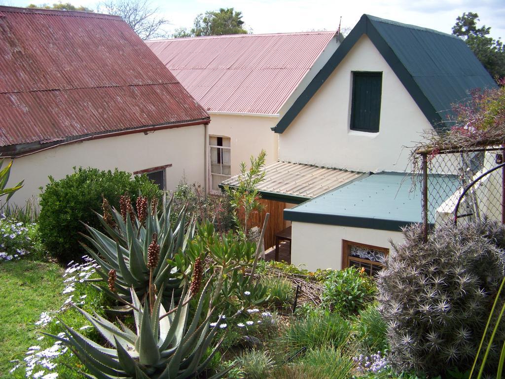 Lemontree Cottage ไฮเดลแบร์ก ภายนอก รูปภาพ