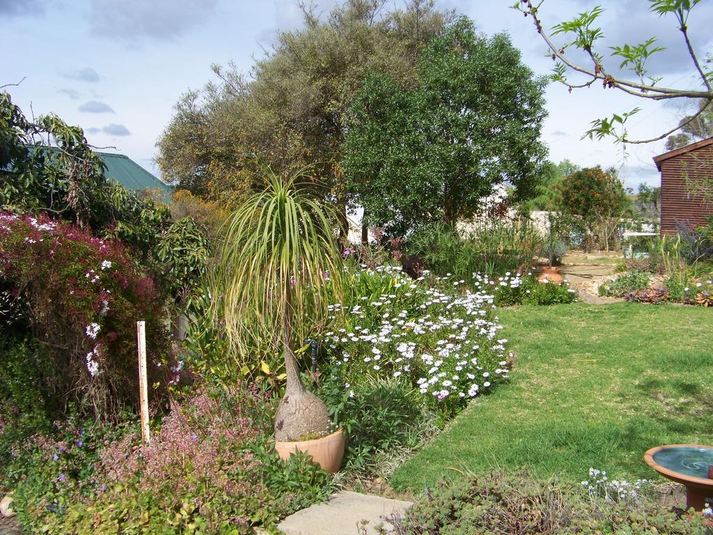 Lemontree Cottage ไฮเดลแบร์ก ภายนอก รูปภาพ